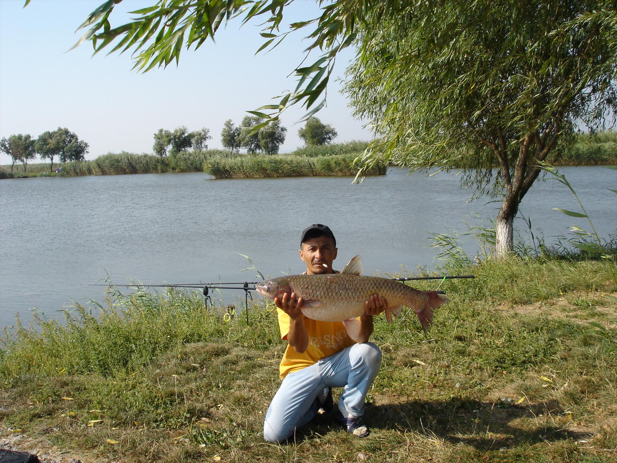 baltasabangia.ro - dsc00660.JPG