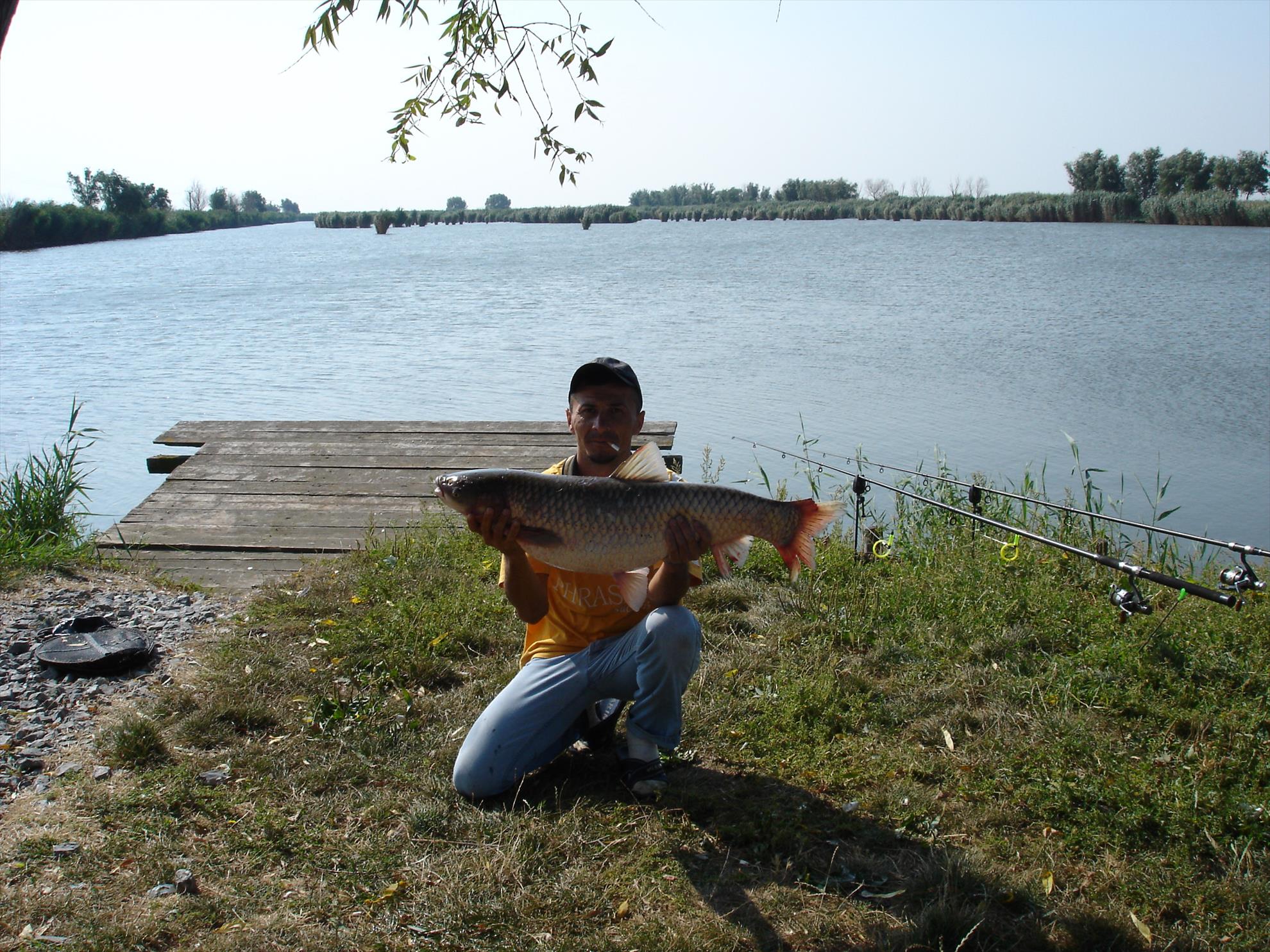 baltasabangia.ro - dsc00661.JPG