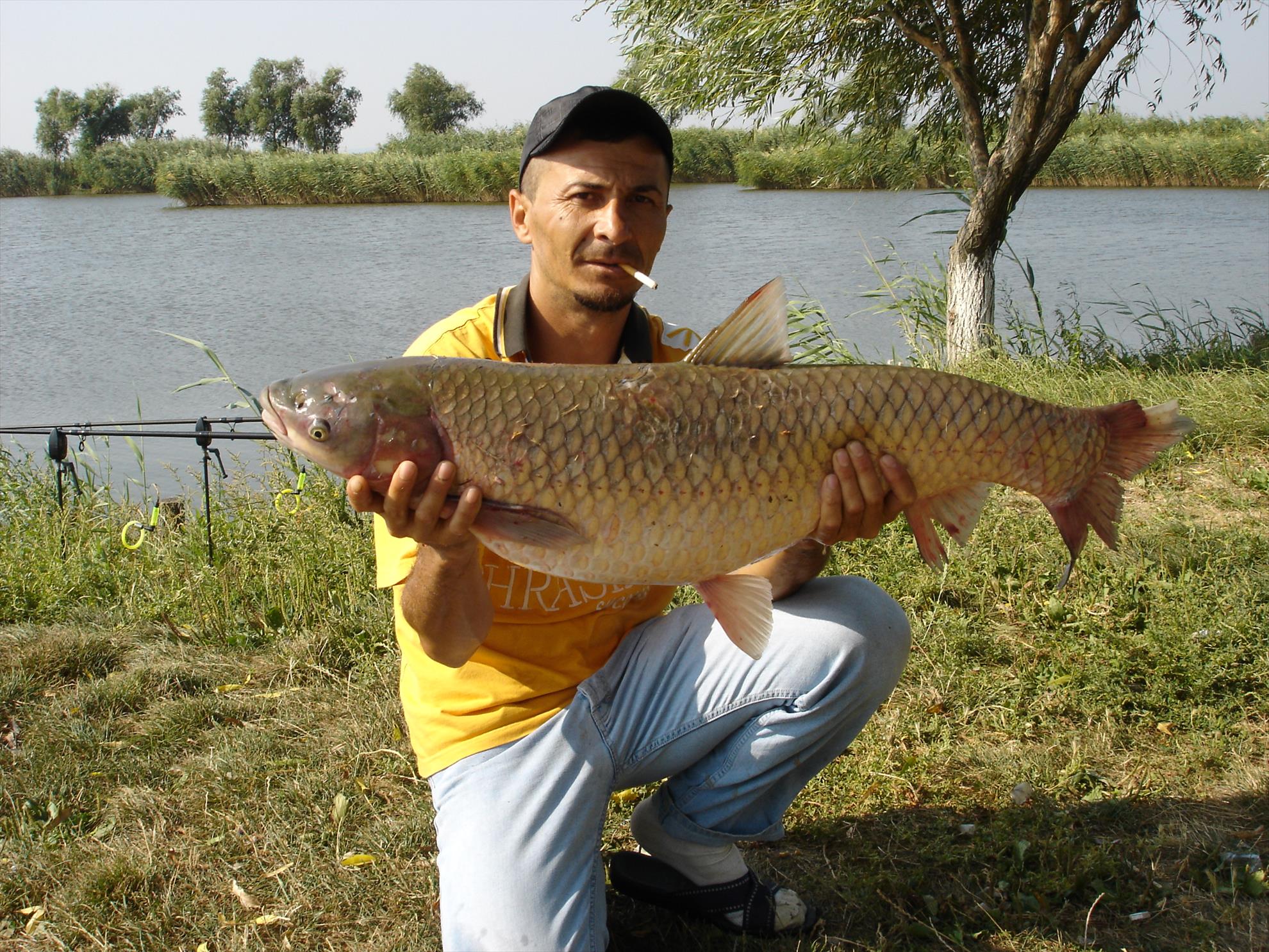 baltasabangia.ro - dsc00662.JPG