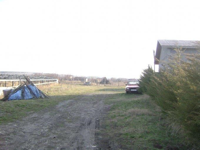  - cotu-vaii-ferma-vanzare-38322-mp-accessrealestate-127935-10-36.jpg