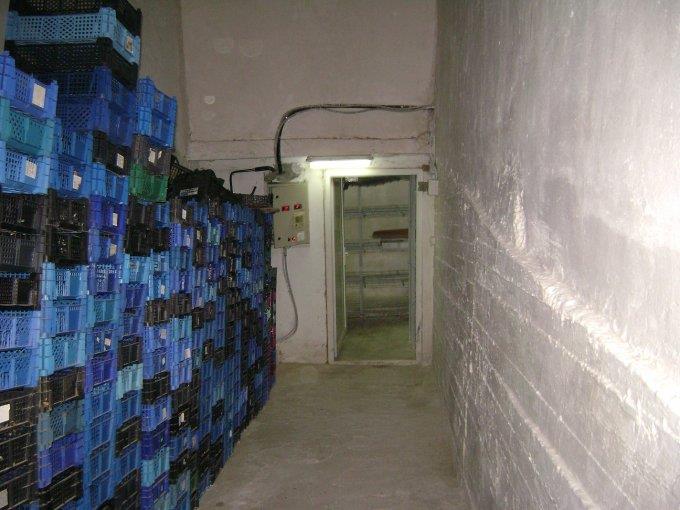  - cotu-vaii-ferma-vanzare-38322-mp-accessrealestate-127935-8-140.jpg