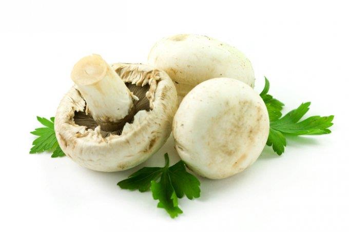  - ferma-vanzare-38322-mp-cotu-vaii-clarasoponaru-127935-10-129.jpg