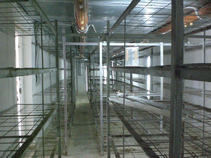  - ferma-vanzare-38322-mp-cotu-vaii-clarasoponaru-127935-20-15.jpg