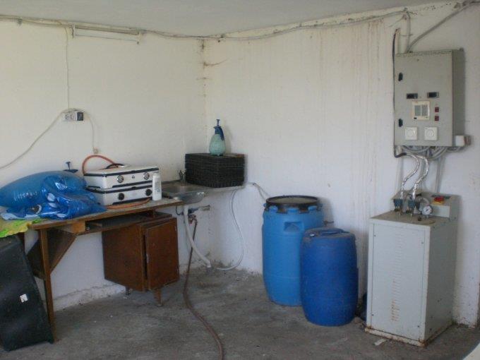  - ferma-vanzare-38322-mp-cotu-vaii-clarasoponaru-127935-21-23.jpg