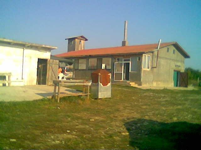  - vanzare-ferma-38322-mp-cotu-vaii-accessrealestate-127935-4-193.jpg