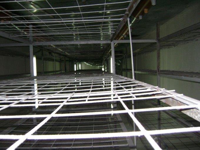  - vanzare-ferma-38322-mp-cotu-vaii-accessrealestate-127935-7-193.jpg