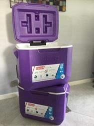 Old Ann - 50 quart - culoarea mov - stoc limitat