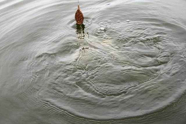 Pescuit in ianuarie la Magura 9 - pescuitcrapmagura921867651.jpg