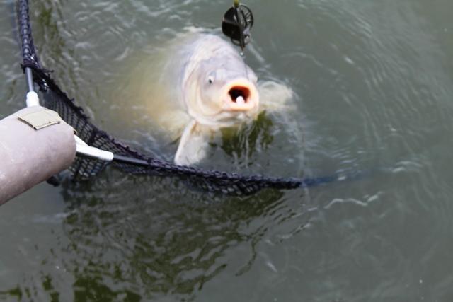 Pescuit in ianuarie la Magura 9 - pescuitcrapmagura936266151.jpg