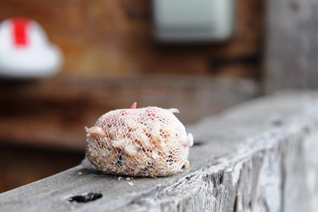 Pescuit in ianuarie la Magura 9 - pescuitcrapmagura945730351.jpg