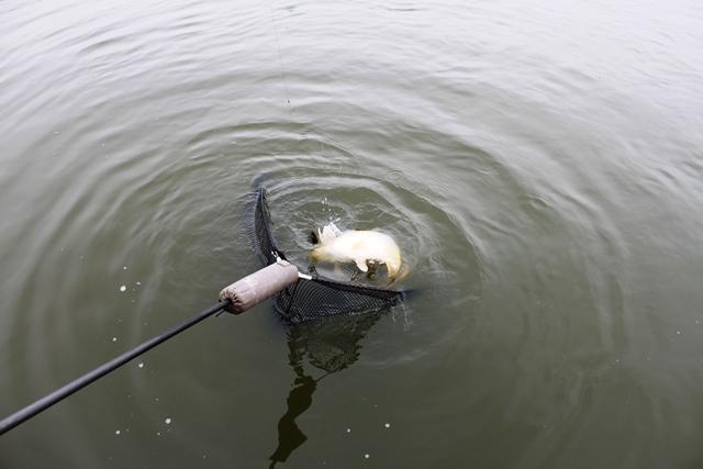 Pescuit in ianuarie la Magura 9 - pescuitcrapmagura969109651.jpg