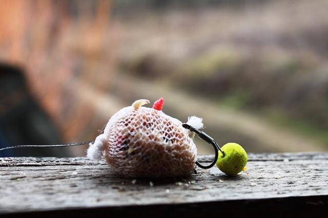 Pescuit in ianuarie la Magura 9 - pescuitcrapmagura998690651.jpg