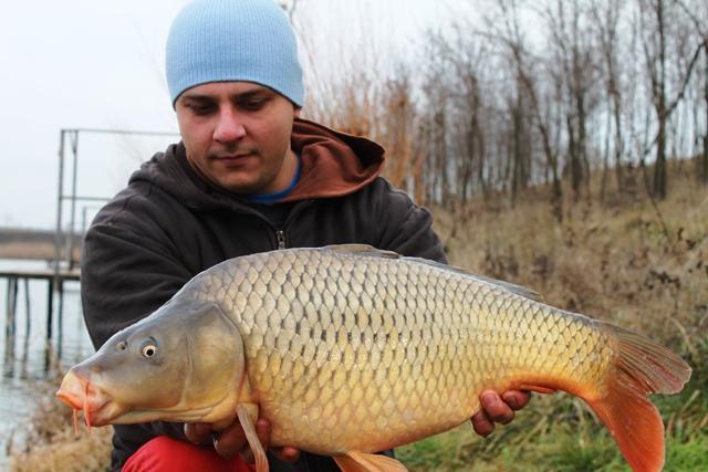 Pescuit in ianuarie la Magura 9 - pescuitmagura9-crap2903851.jpg