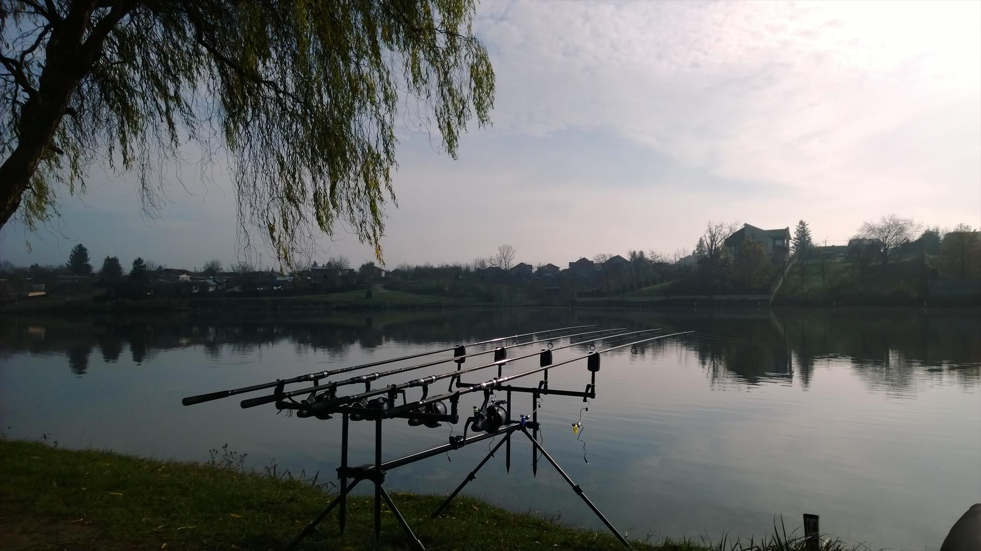  - wp20131121122648pro.jpg