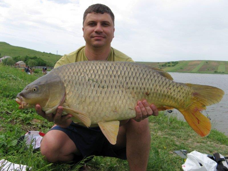 Prezentare - phocathumbl20130518123841.jpg