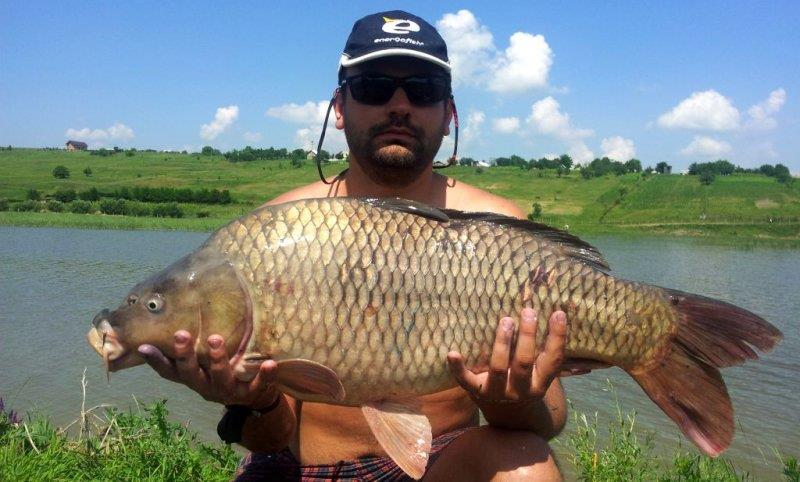 Prezentare - phocathumbl20130609142818.jpg