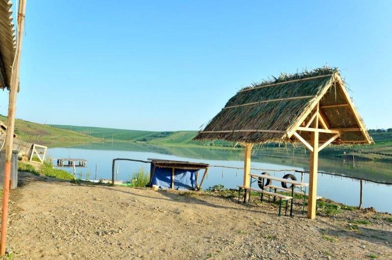 Prezentare - phocathumbl20130722091642.jpg