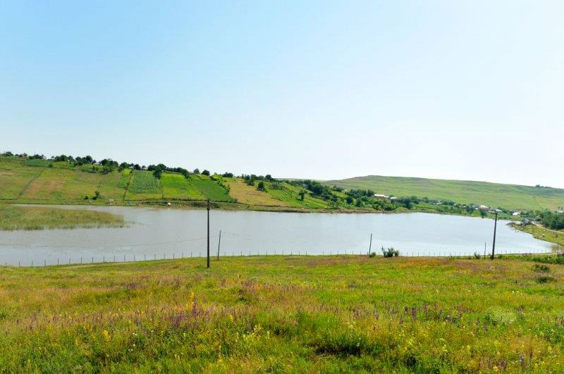 Prezentare - phocathumbl20130722112331.jpg