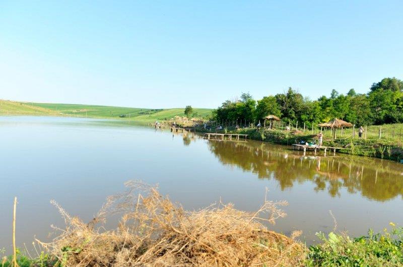 Prezentare - phocathumbl20130722113124.jpg