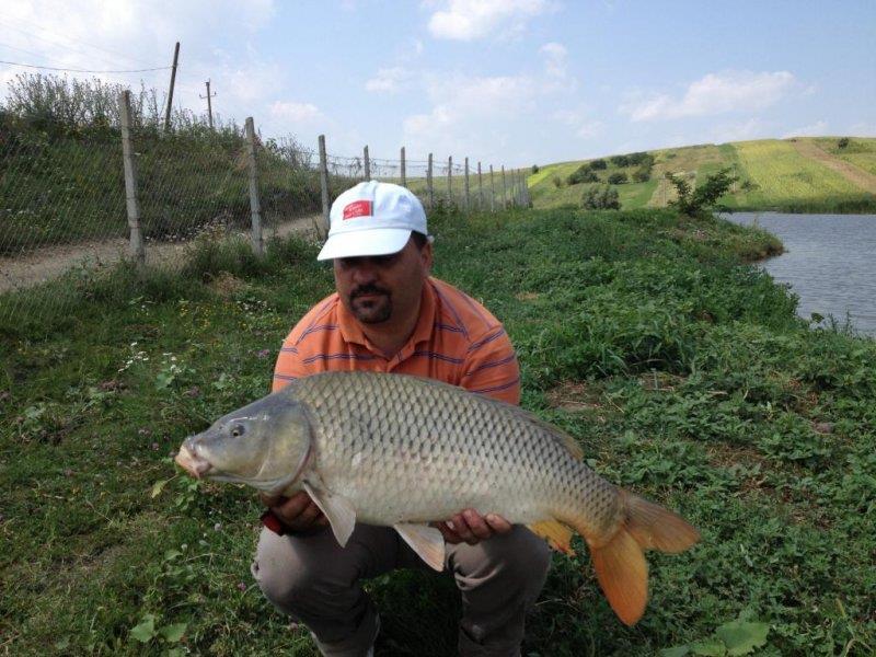 Prezentare - phocathumbl20130727.jpg