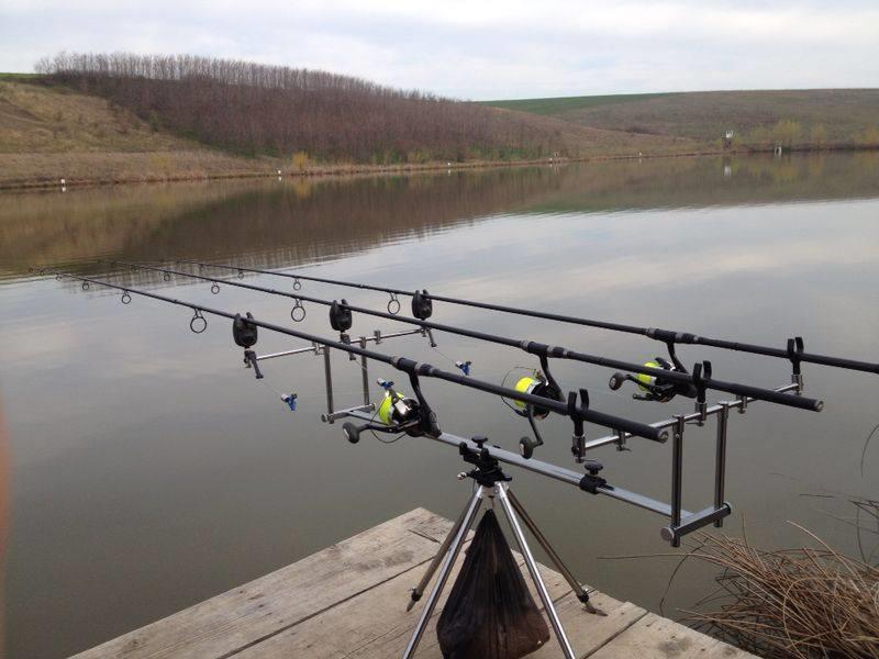  - 9884296508556082841541139344110n.jpg