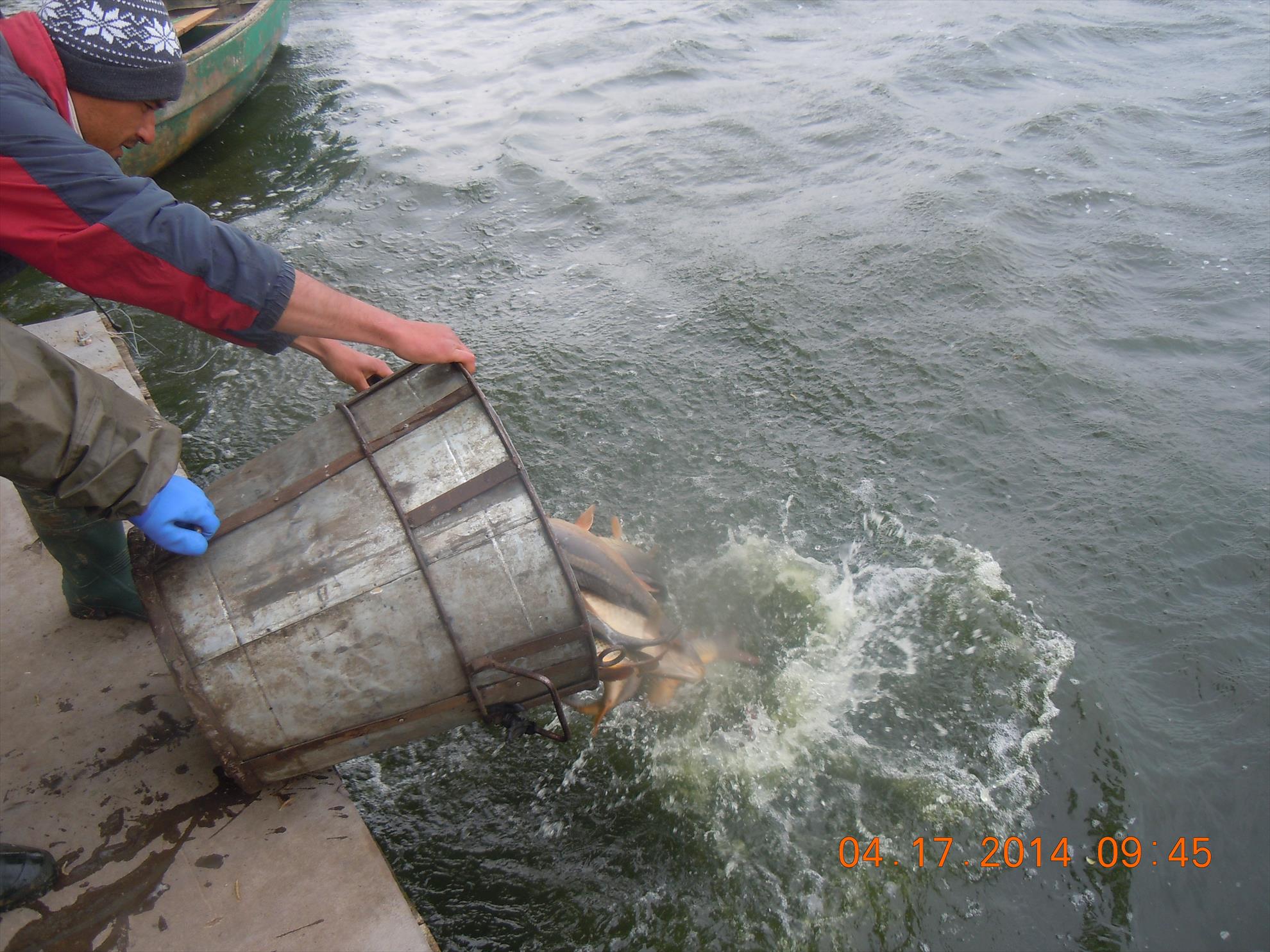 populare - dscn1645.JPG