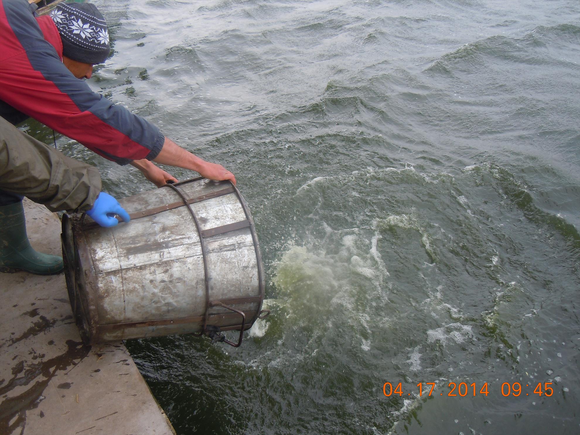 populare - dscn1646.JPG