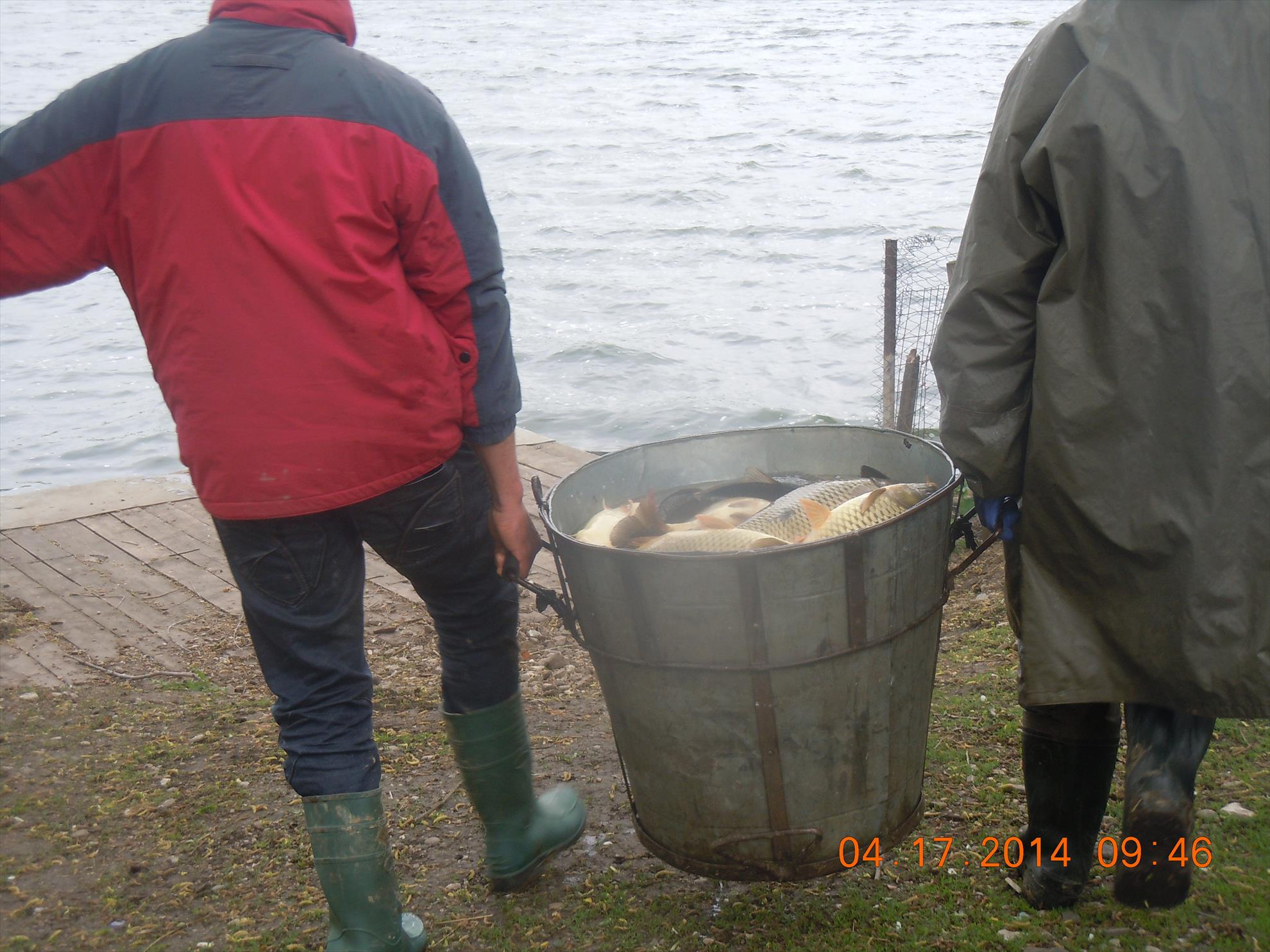 populare - dscn1653.JPG