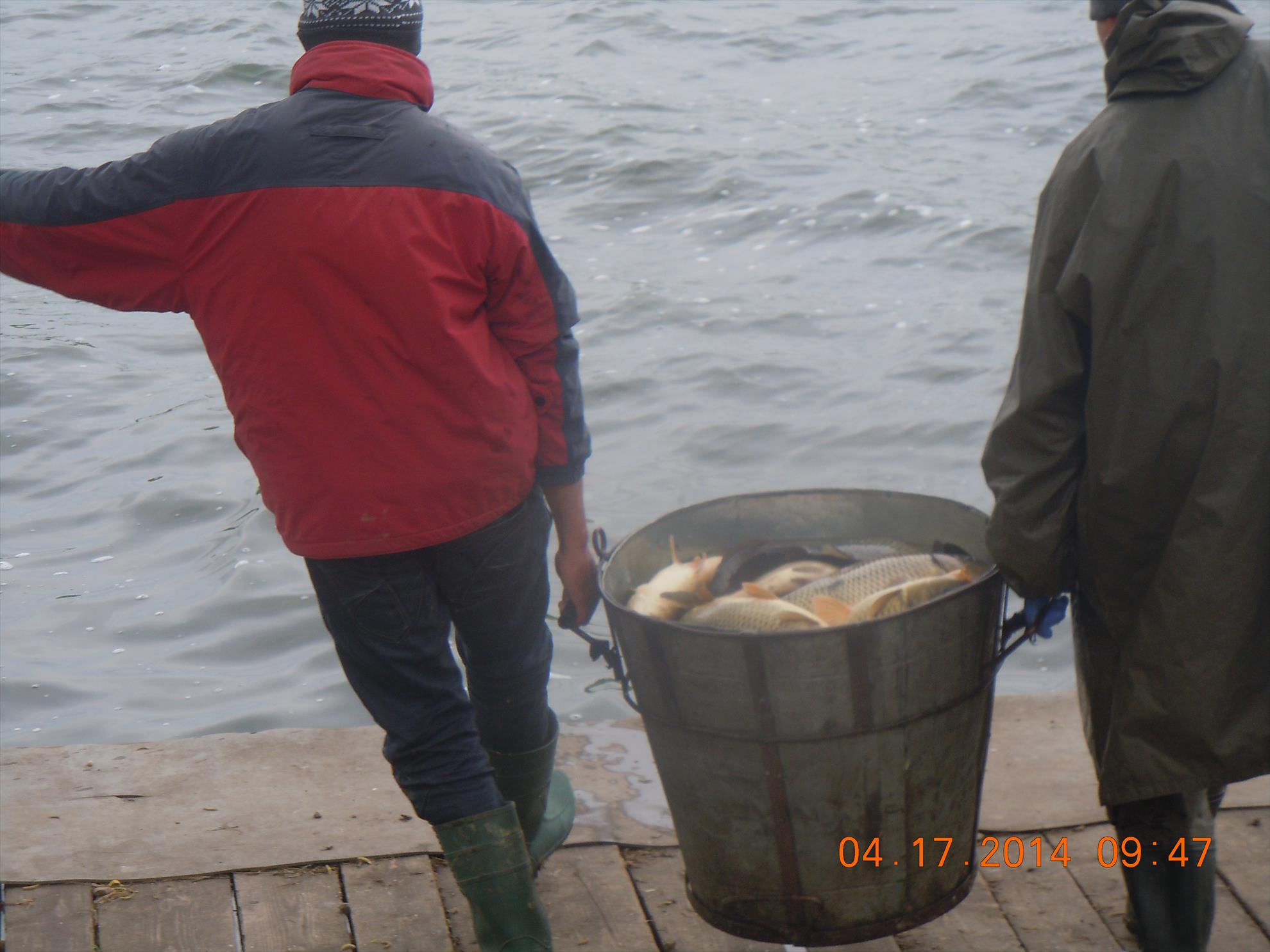 populare - dscn1654.JPG