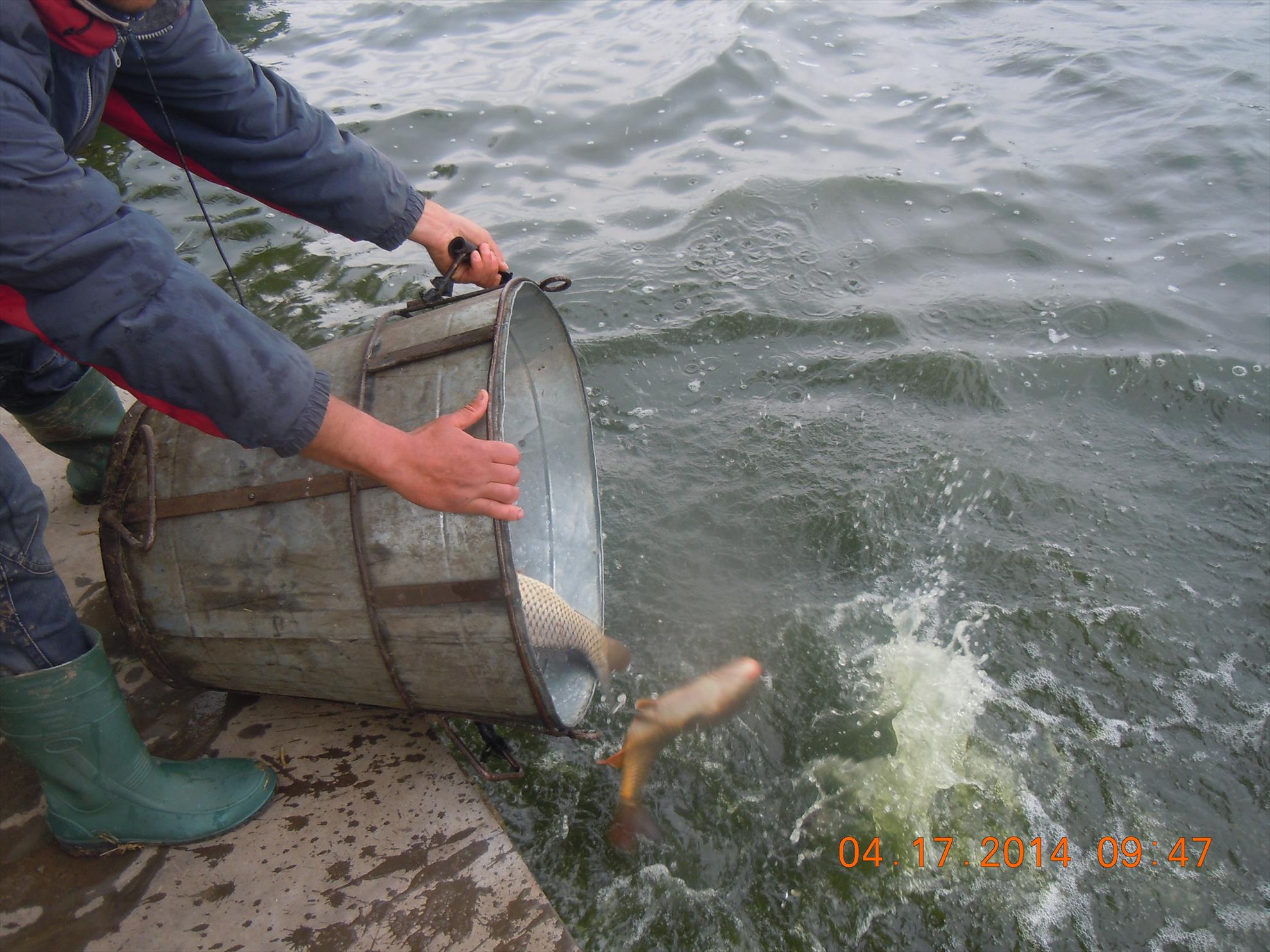 populare - dscn1656.JPG