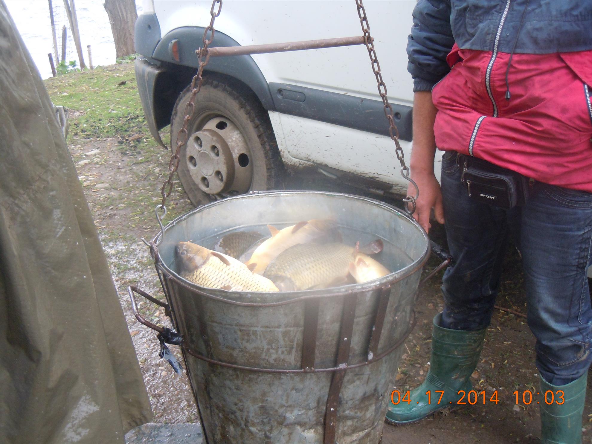 populare - dscn1674.JPG