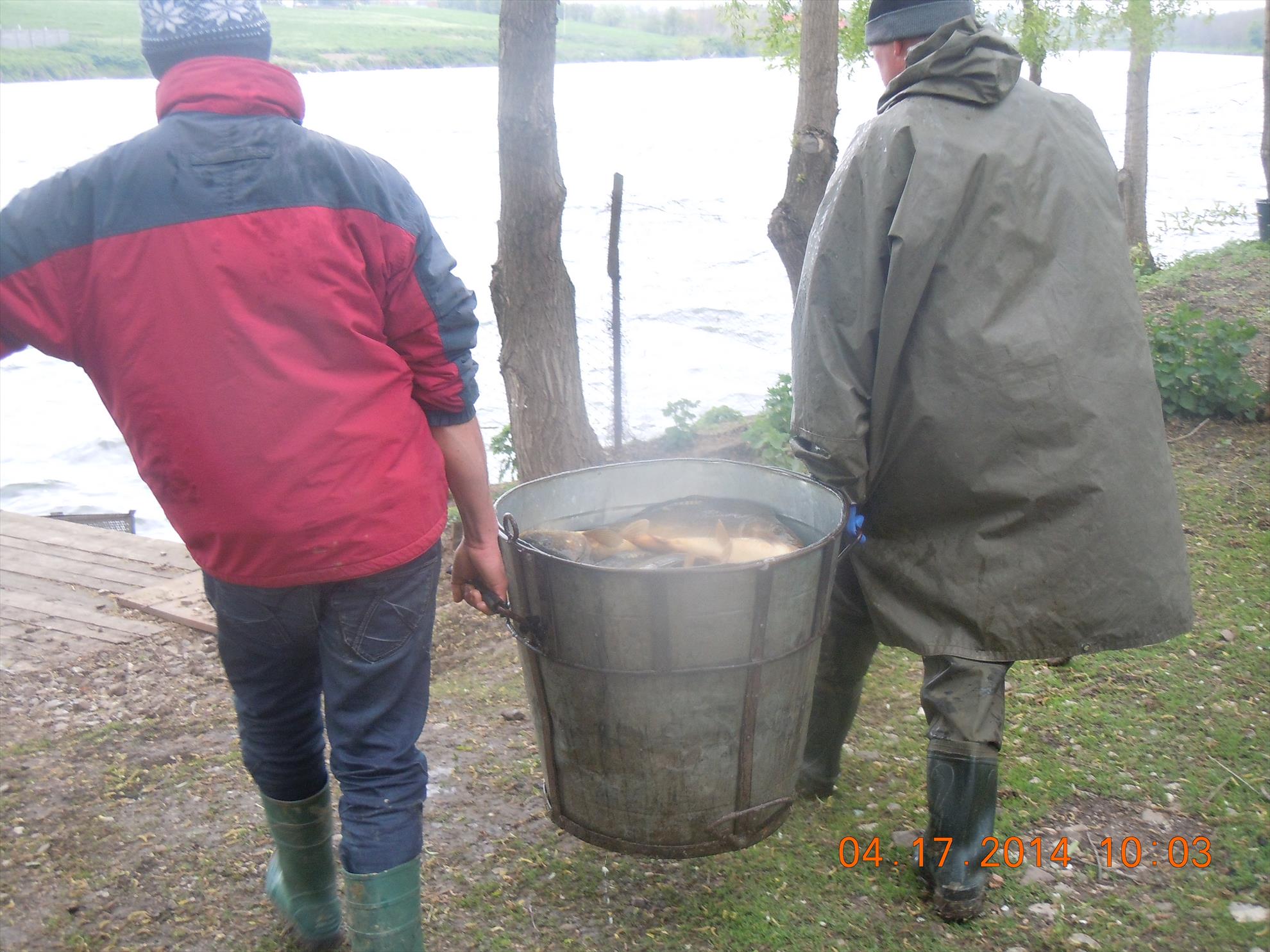 populare - dscn1675.JPG