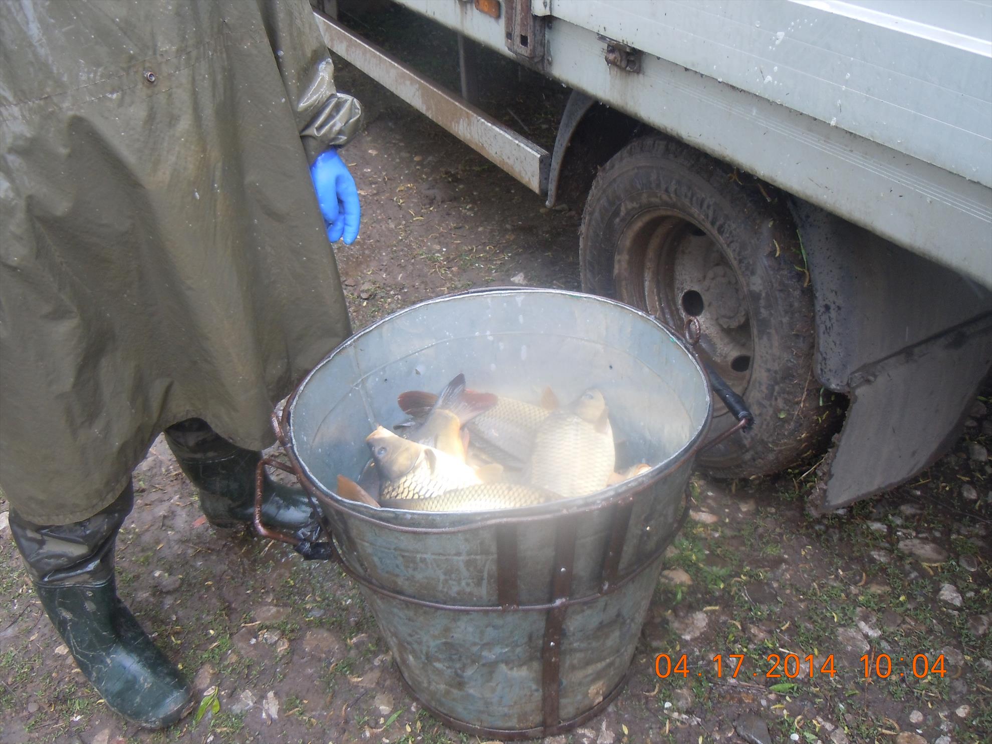 populare - dscn1681.JPG