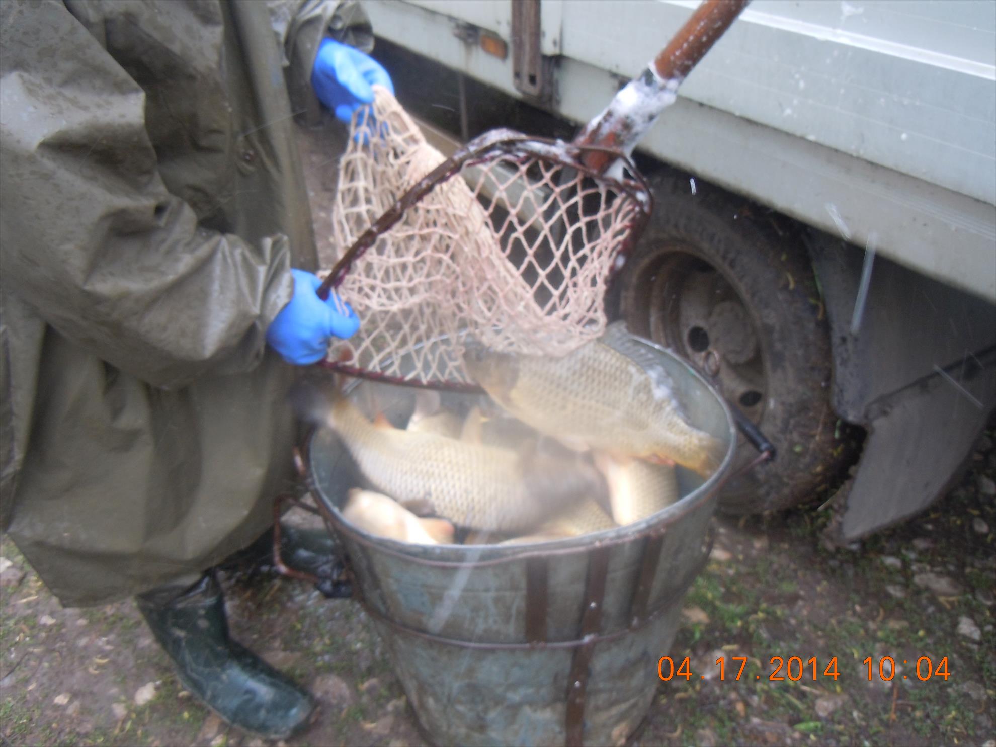 populare - dscn1682.JPG