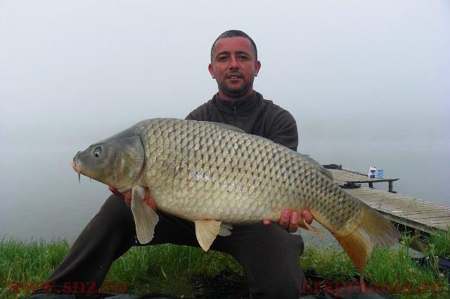 Sulimanu - Party Cup 2014 - sulimanupartycupcrap.jpg