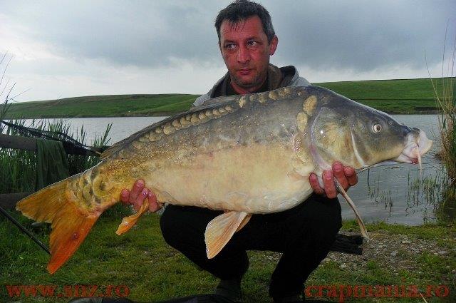 Sulimanu - Party Cup 2014 - sulimanupartycupgica.jpg