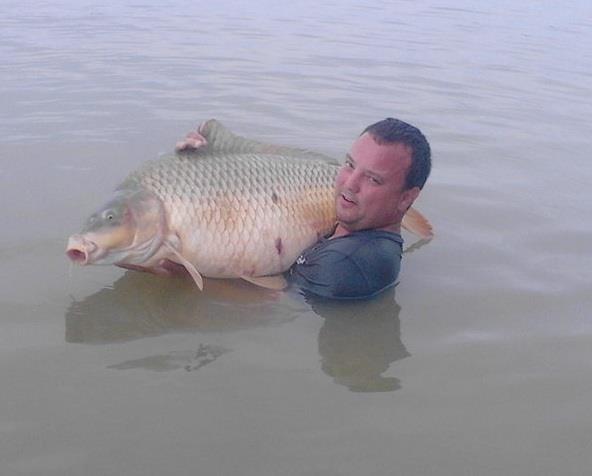 Crap 26,6 kg la Corbu - crapi-mari-corbu.jpg