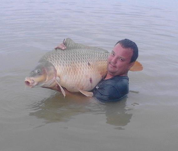 Crap 26,6 kg la Corbu - crapi-mari-la-corbu.jpg