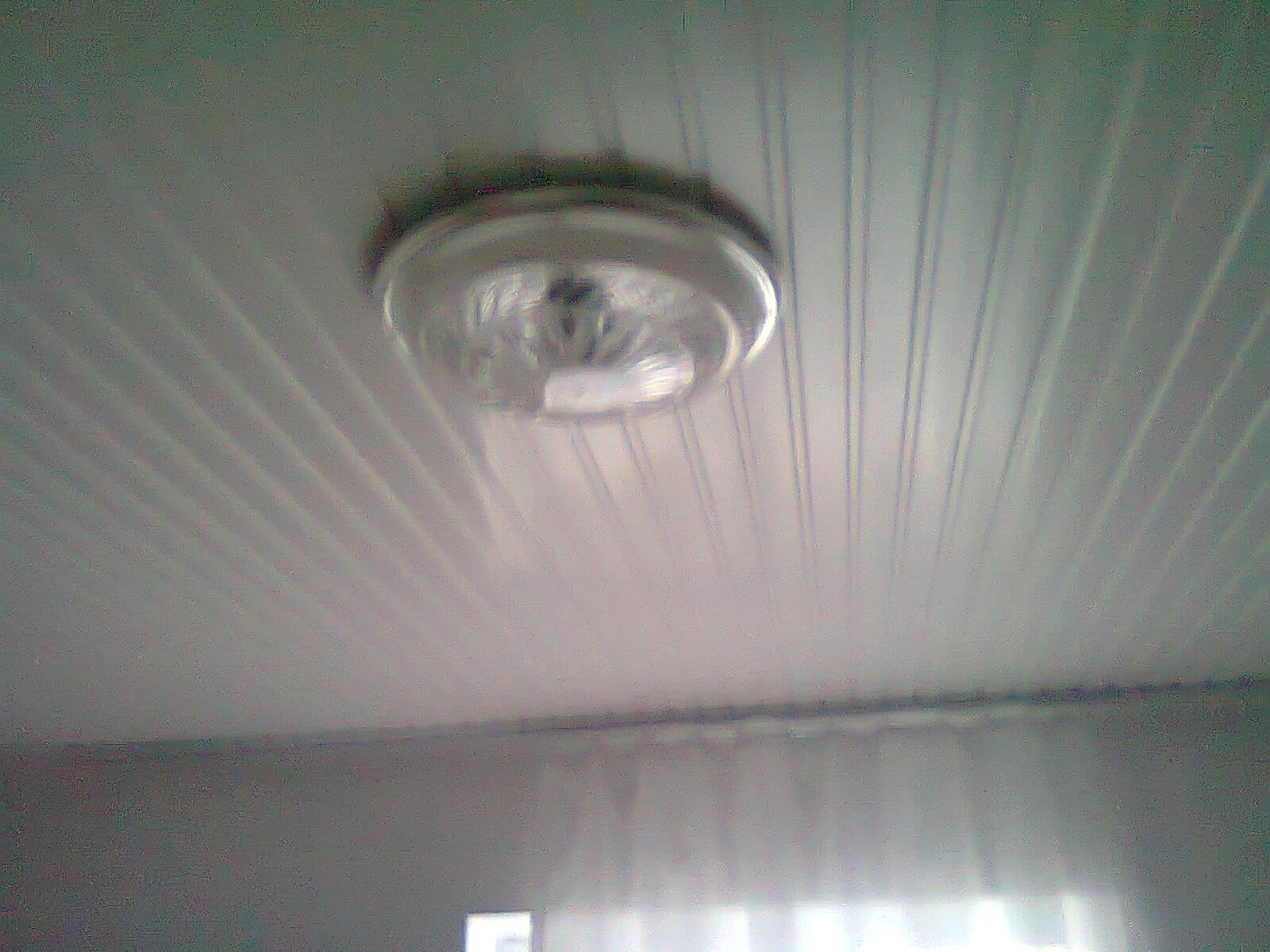  - fotografie012511.jpg