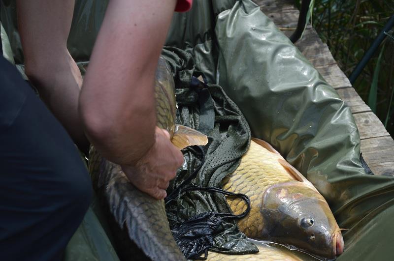 Balta Sulimanu - Iulie 2014 - balta-sulimanu-pescuit-3.JPG