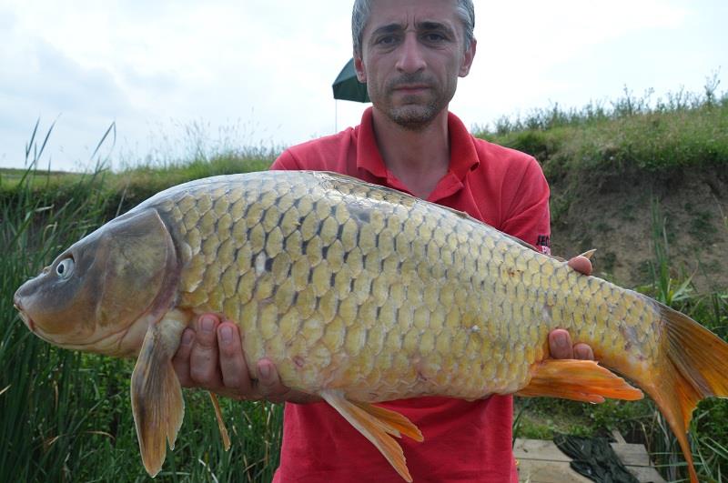 Balta Sulimanu - Iulie 2014 - balta-sulimanu-pescuit-6.JPG