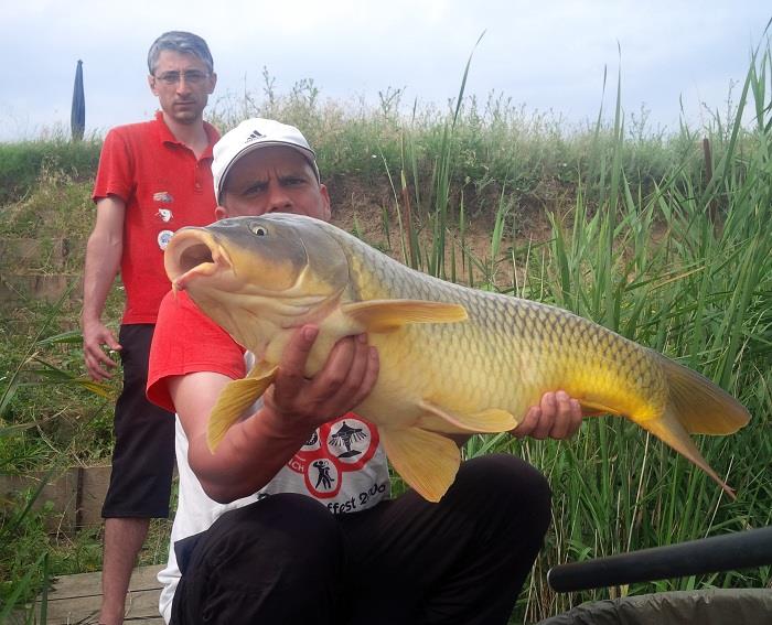 Balta Sulimanu - Iulie 2014 - balta-sulimanu-pescuit-crap-mult-mare.jpg