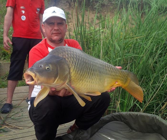 Balta Sulimanu - Iulie 2014 - balta-sulimanu-pescuit-crap-mult.jpg