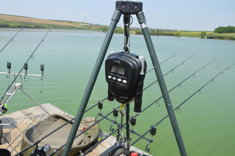 Balta Sulimanu - Iulie 2014 - balta-sulimanu-pescuit-crapi-mari.JPG