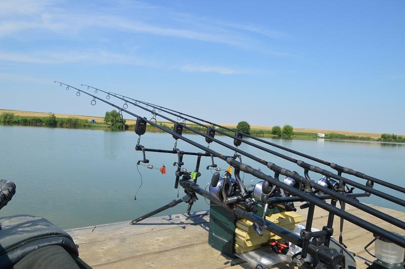 Balta Sulimanu - Iulie 2014 - balta-sulimanu-pescuit-la-crap.JPG