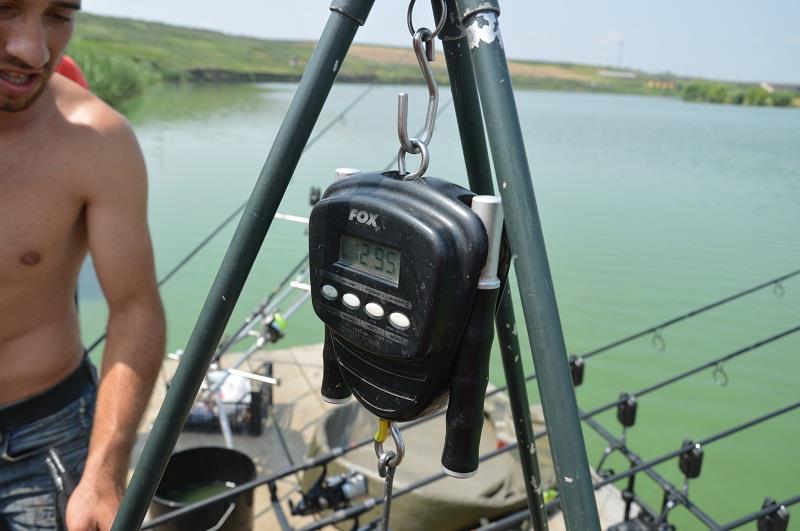 Balta Sulimanu - Iulie 2014 - balta-sulimanu-pescuit-la-crapi-mari.JPG