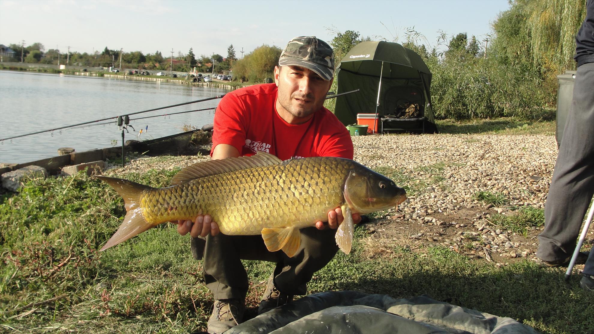 Cupa Carpbook ed. II - dsc04500.JPG