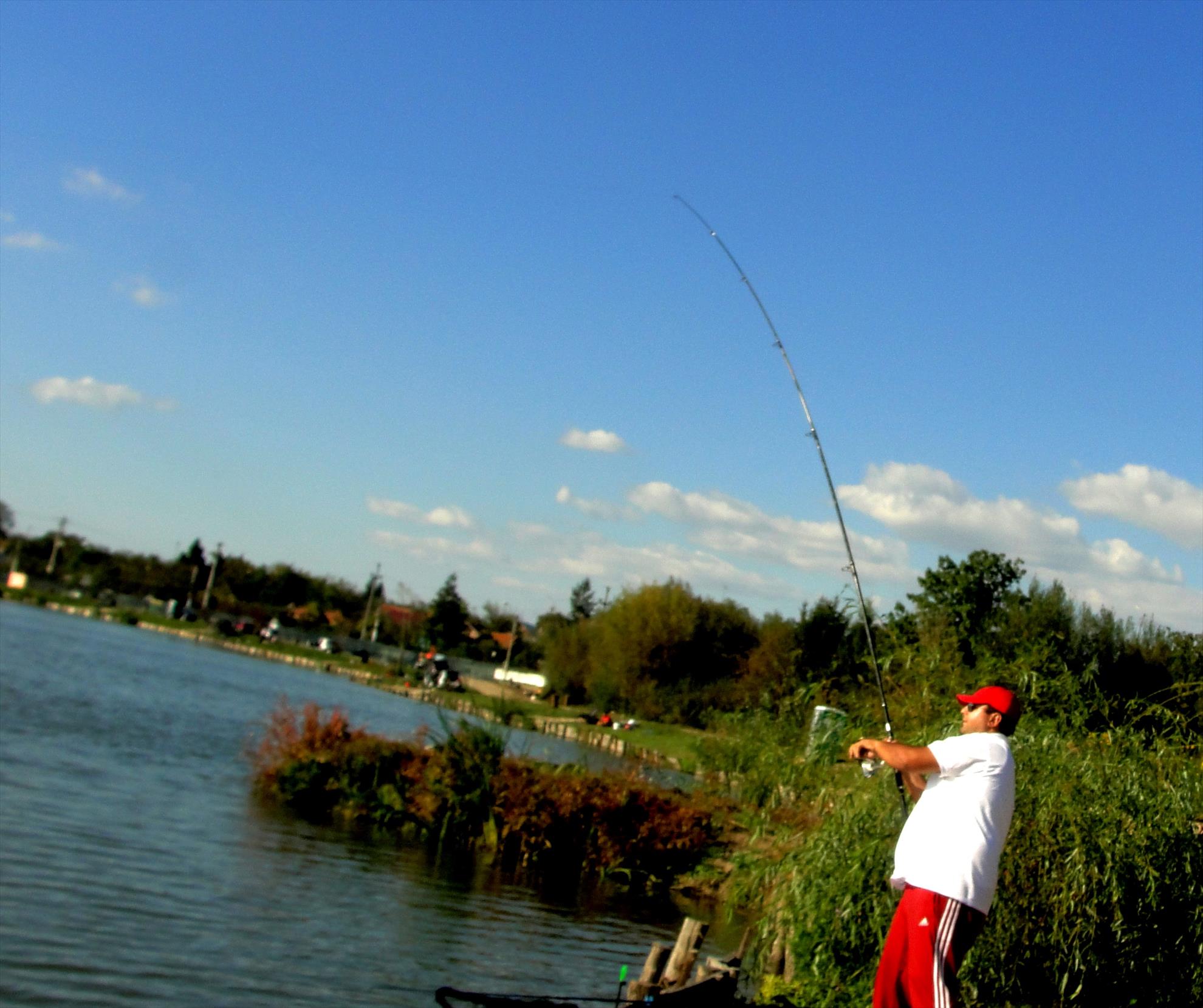 Cupa Carpbook ed. II - dsc04523.JPG