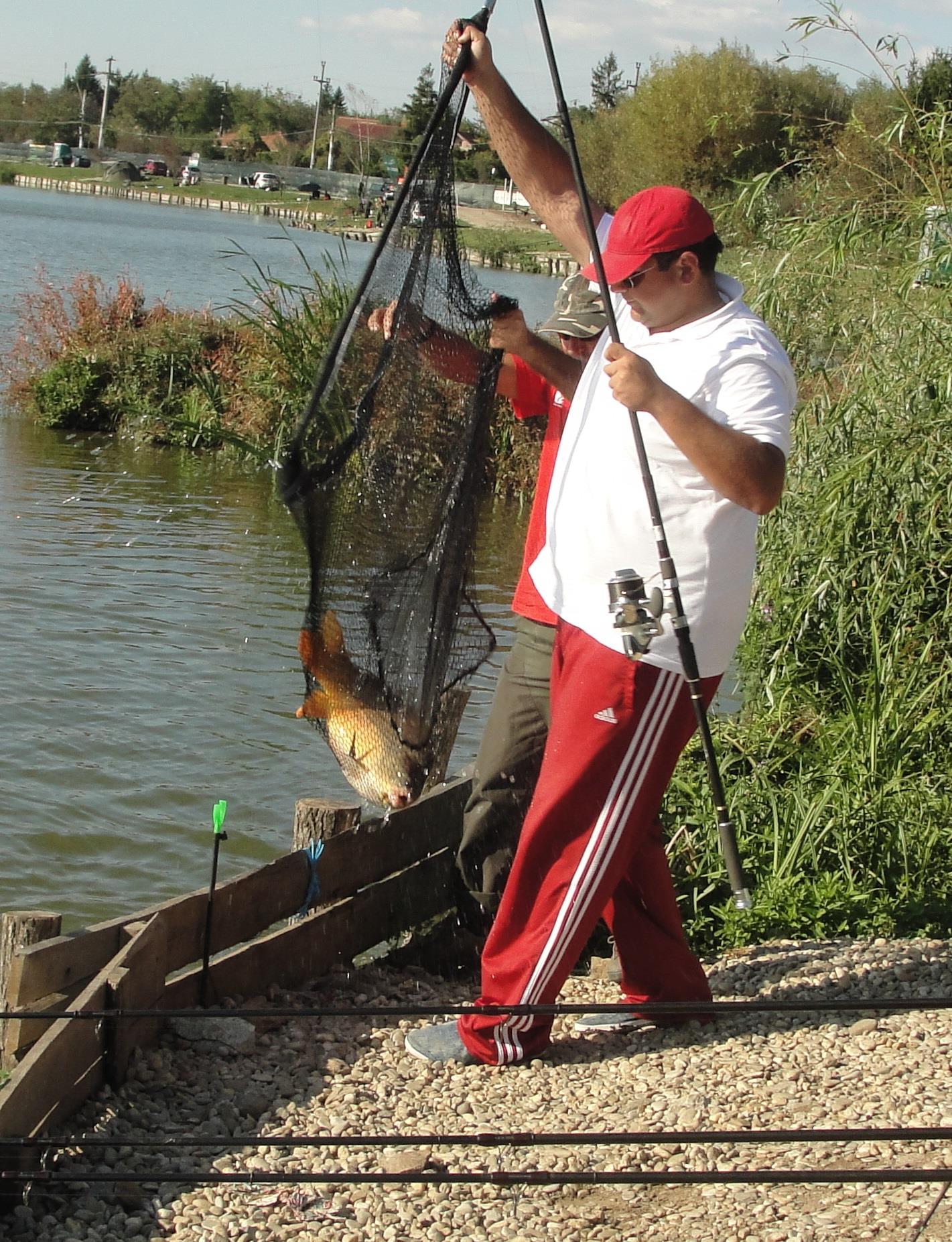 Cupa Carpbook ed. II - dsc04525.JPG