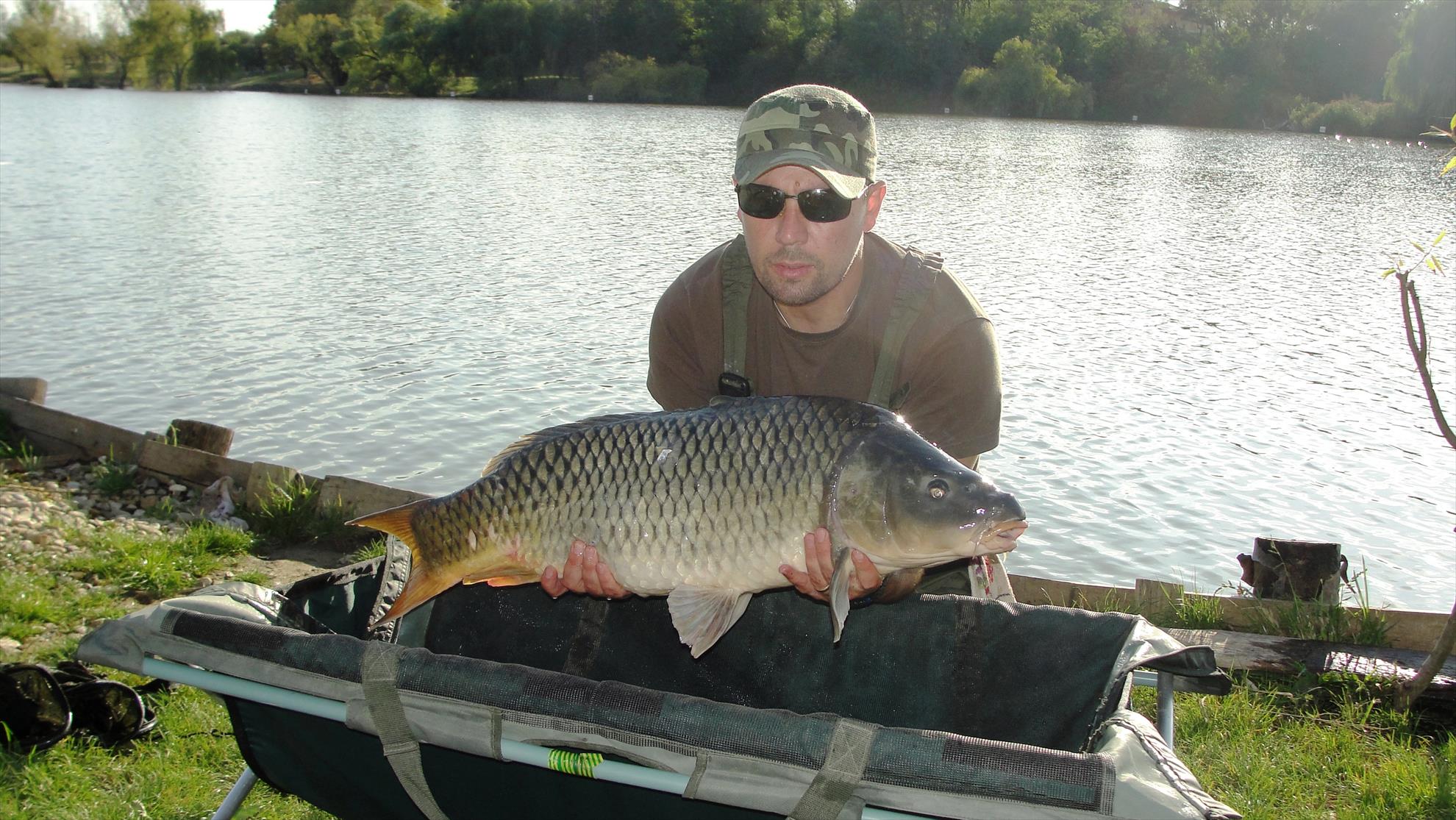 Cupa Carpbook ed. II - dsc04533.JPG